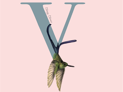 V is for the violent slyth bird 36daysoftype adobe birds design digitalarts drawing graphics illustration illustrations illustrator logo logo a day logo alphabet nature typogaphy typography ui violet