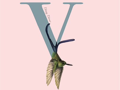 V is for the violent slyth bird