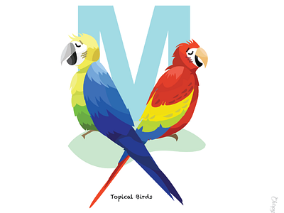 M is for the colourful Macaws 36daysoftype art bird bird art colors design digital art happy illustration letter m lettering logo m macaw pages type art typography ui