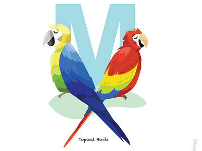 M is for the colourful Macaws