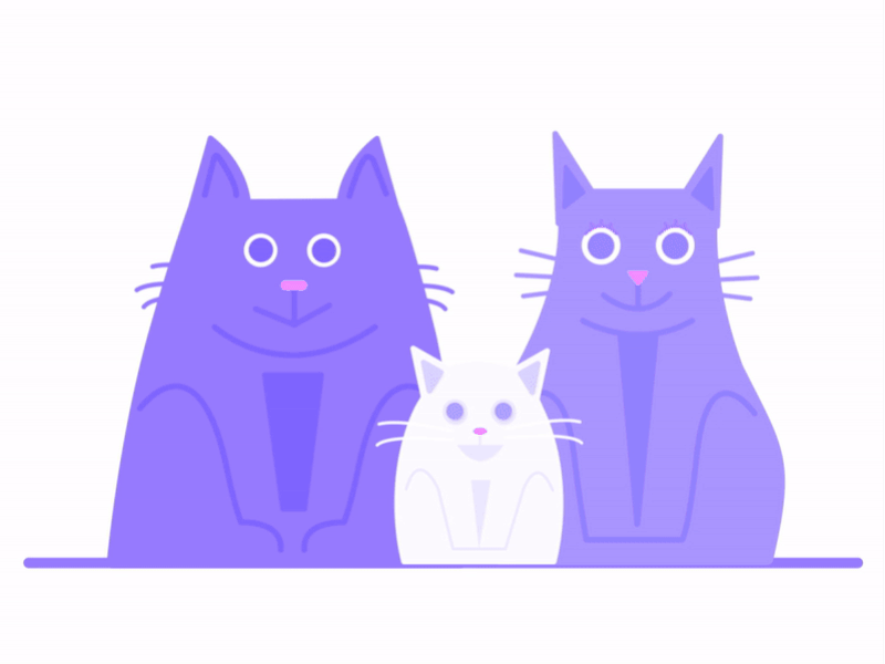 Comprehensive cat animation branding camera cat creative design family gif hitpaw illustration logo motion graphics photo photograph purple vector