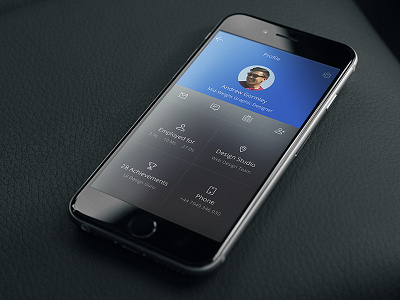 Pro:Direct Internal App Concept app design ios iphone ui ux web