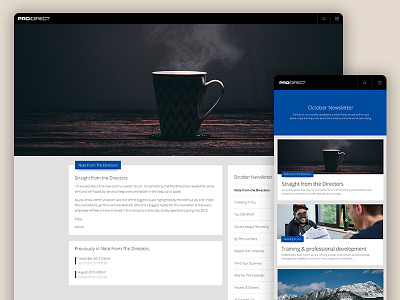 Pro Direct Internal Newsletter 2 design desktop interface mobile newsletter ui ux web