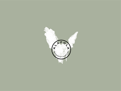 Watercolour Bird logo bird designer graphic graphic designer illustration logo logomark watercolour