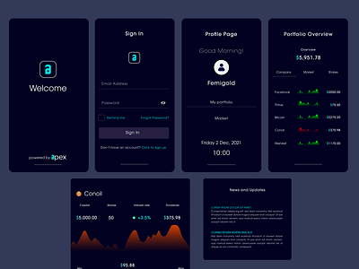 Fintech - Investment portfolio