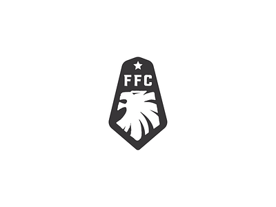Fury Football Club branding design follow me football fun fury lion lion logo logo project soccer star
