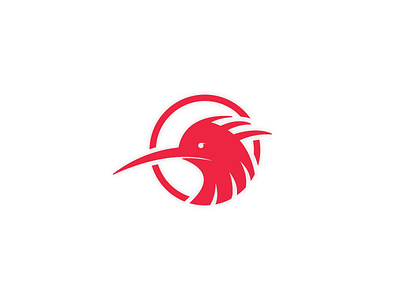 Kiwi Logo animal bird circle concept design follow idea kiwi logo new red team