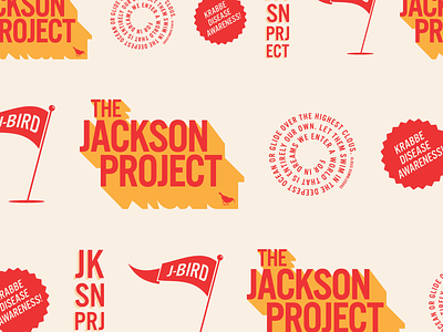 Jackson Project – Poster Elements