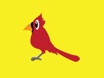 bird studies pt. 1. bird cardinal character clean design graphic graphic design illustrate illustration vector