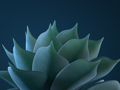 Succulent 3d art cinema4d dailyrender lighting octane