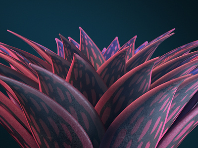 Succulent 4 3d art 3d render art direction c4d lighting octane plant