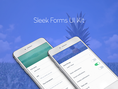 Sleek Forms UI Kit form forms ui kit uikit