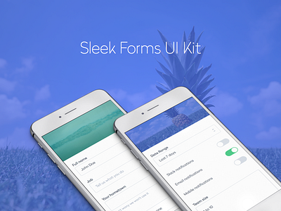 Sleek Forms UI Kit