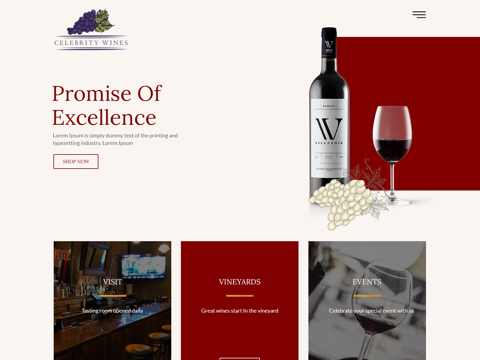 Wine Shop Design by Shawn Johnson on Dribbble