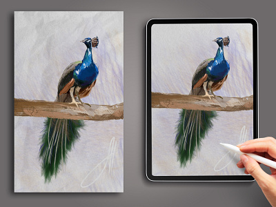 Digital Artwork / peacock