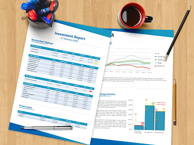 Investment Report