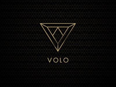 Volo branding branding gold identity logo luxury