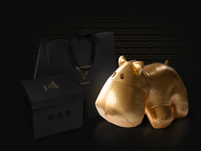Volo branding bag branding gold identity packaging