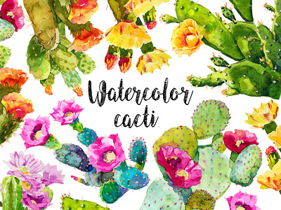 Download Watercolor Cactus Collection By Karinka Bu On Dribbble