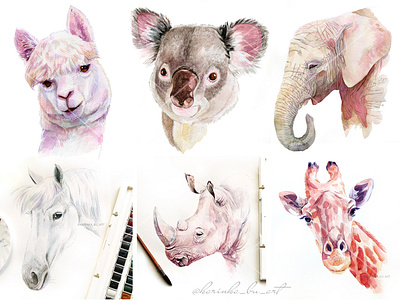 Watercolor animals. Koala, llama, elephant,rhino, giraffe...