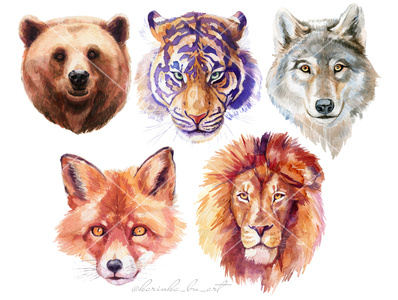 Watercolor animals illustrations by Karinka BU on Dribbble