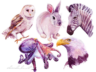 36 animal illustrations In 30 days. animal animal art cute eagle fabric pattern hand painted illustration octopus owl pet portrait portrait rabbit sketch sketchbook surface design tropical watercolor watercolor animal watercolor painting zebra