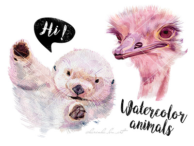 Watercolor animals illustrations