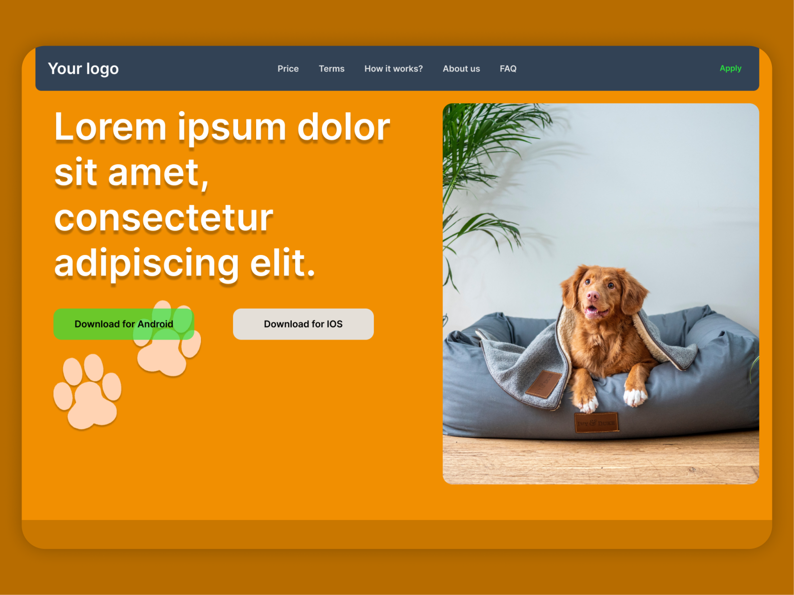site design for buying dogs🐶 by Gliga Adrian Mircea on Dribbble