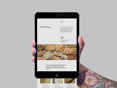 PiedrasLeón® brand chile design diseño interface logo piedras stone ui usability ux webdesign