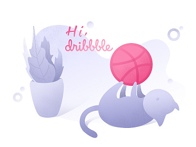 Hi Dribbble cat