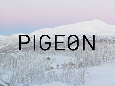 Pigeon Textlogo Variation logo logotype pigeon skateboard stickermule text