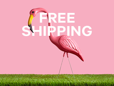 Joe Fresh - free shipping promo design flamingo homepage creative joe fresh