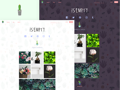 IS EMPTY cactus flowers gallery girlish illustrations logo pastel colours pattern photo ui ux web