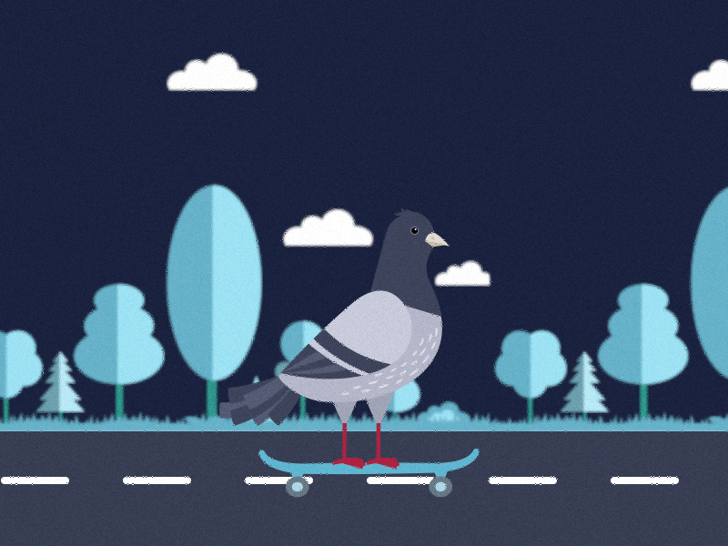 What pigeons do at night ae after effects animation flat gif illustration motion motion design motion graphics pigeon