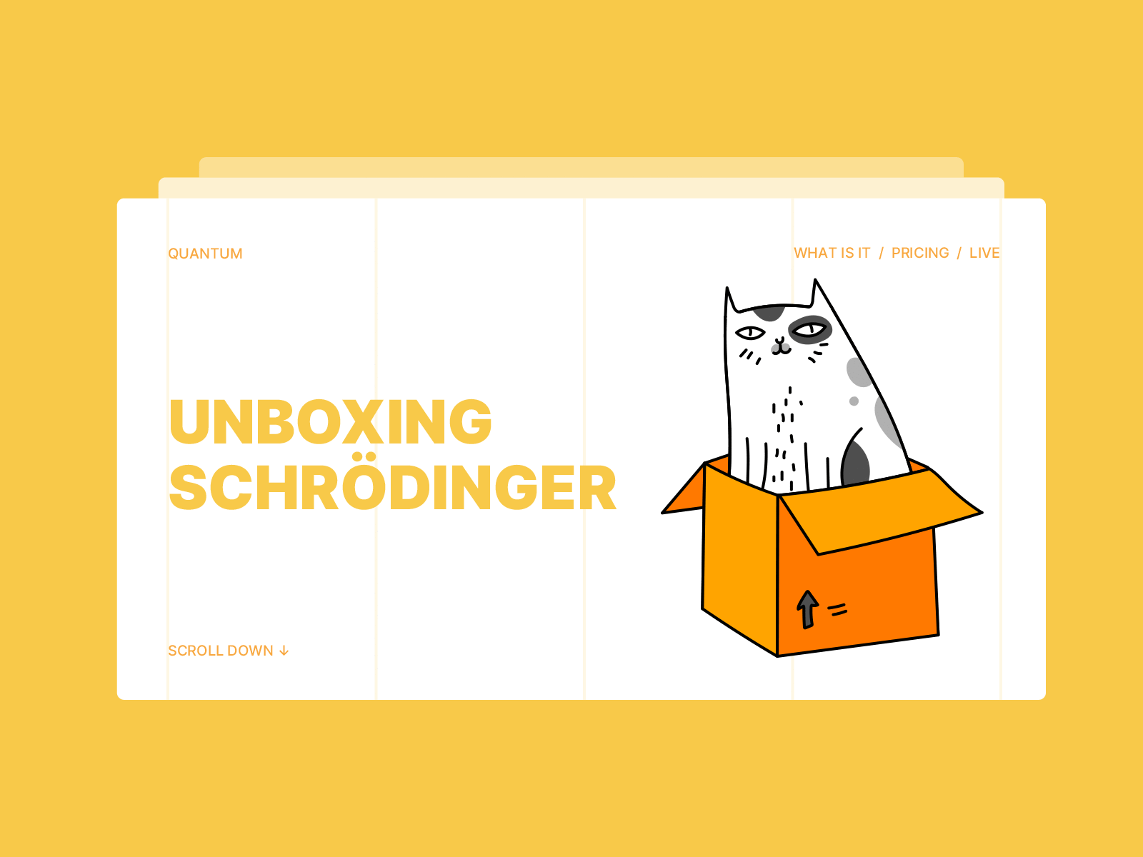 Unbox the Schrödinger's Cat 2d animated animation box cat hand drawn illustration kitten kitty loader loading motion motion graphics pussycat rotation schrödinger schrödingers cat spin spinning unboxing