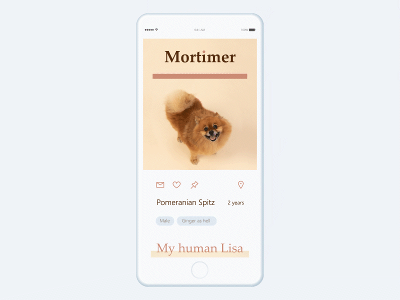 Pet Social Media App animation application design dog free interface mobile motion pet photo ui ux