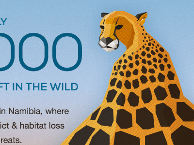 Save the Cheetahs illustration