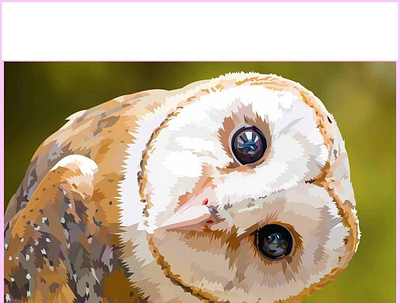 Peeking Barn Owl Diamond Painting | Heartful Diamonds owl diamond painting owl diamond painting kits
