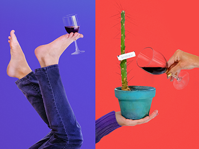 Ladies, Wine & Design El Paso catcus design el paso photography silly whimsy wine