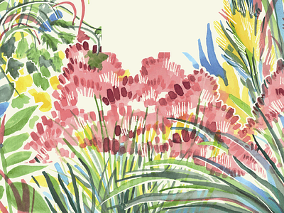 Native Grasses of Georgia design flowers georgia illustration nature plants trees watercolor