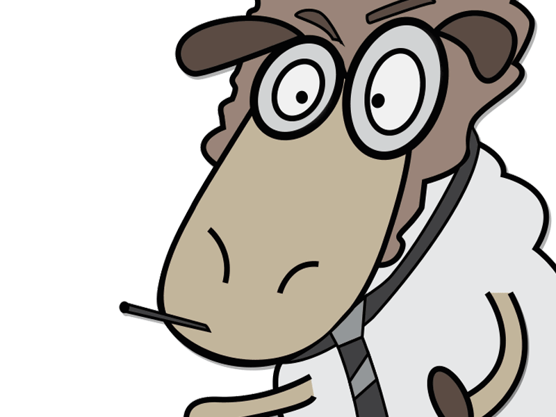 Smoke | Smoking Sheep character gif illustration sheep smoke