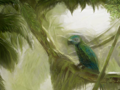 Bird of Conceptual Paradise abstract concept art digital painting photoshop