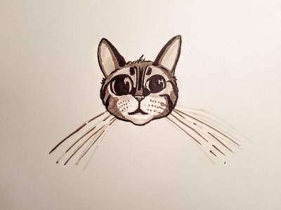 Bella caricature cat copic drawing illustration