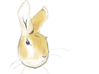 Peter baby room beatrix potter digital illustration painting peter rabbit