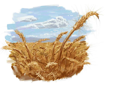 Wheat Field Painting digital illustration old painter painting