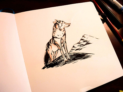 Akela - The Lone Wolf character cub scouts disney drawing illustration ink jungle book rudyard kipling sketch wolf