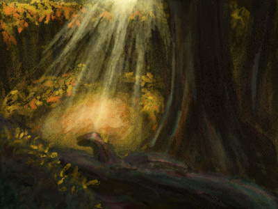 Fall Clearing clearing concept fall illustration paint sketch woods