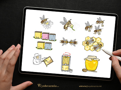 Ilustracje pszczoły miodnej do infografiki digital painting ilustracja wektorowa pszczoła vector