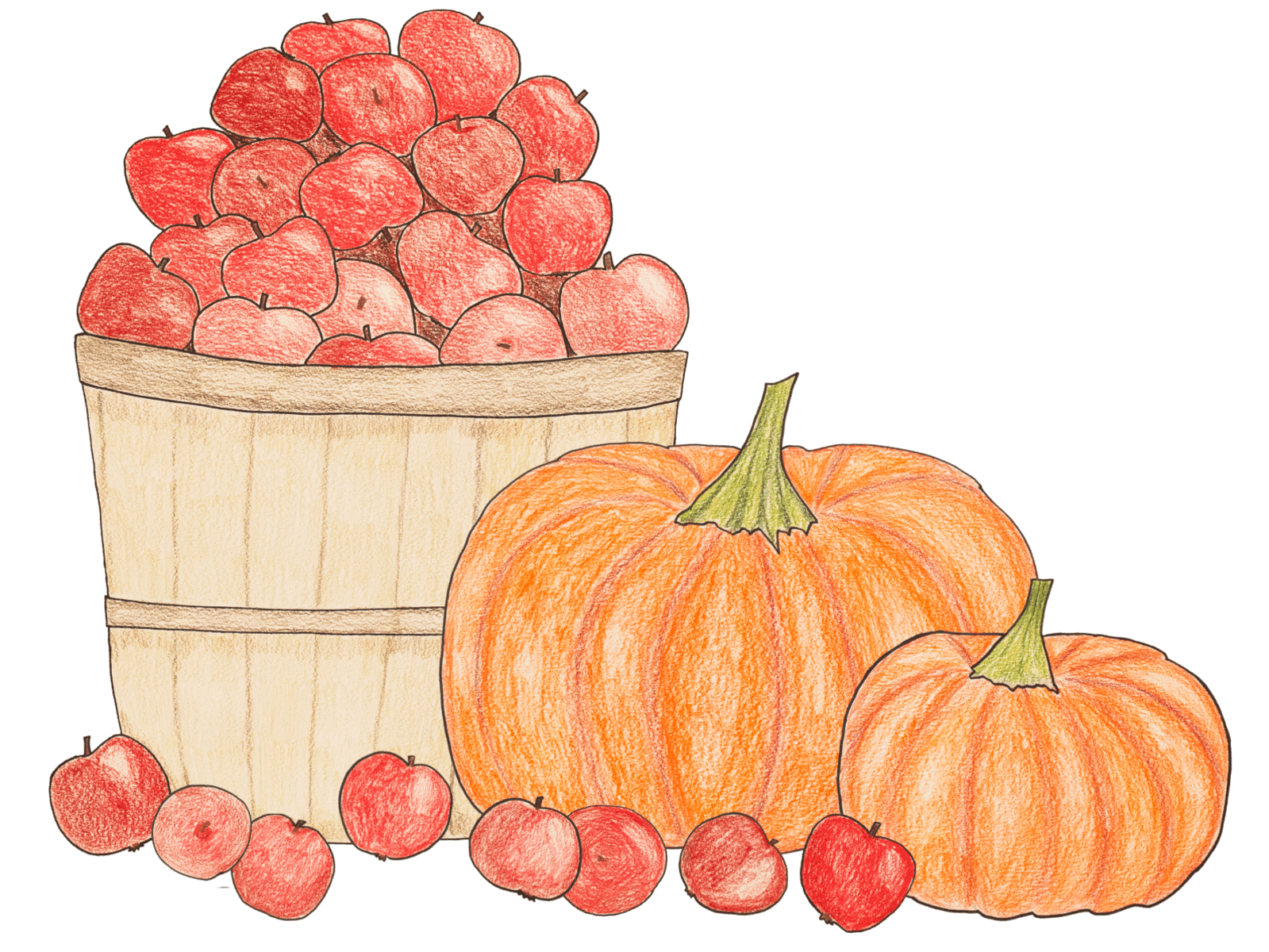 Harvesting apple basket apples coloured pencil design graphic design illustration pumpkin