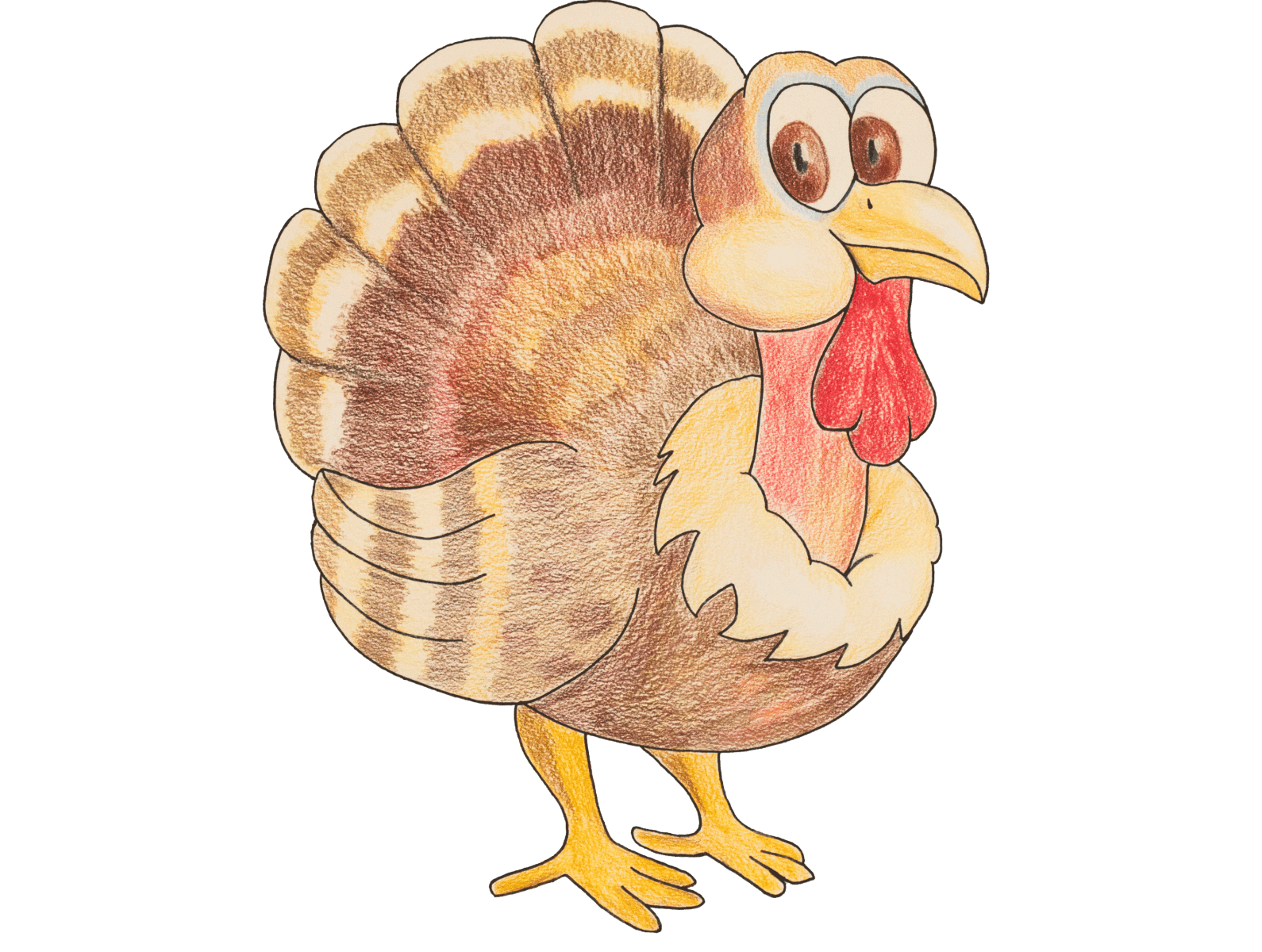 Mr. Gobbler coloured pencil design graphic design illustration turkey